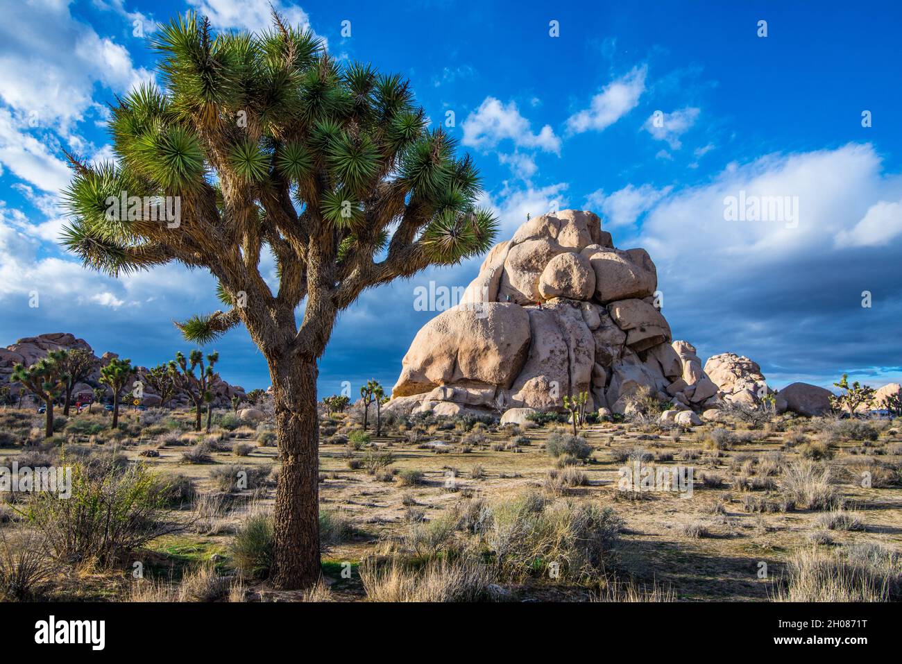 Hidden Valley - Intersection Rock - Joshua Tree National Park - California - Twentynine Palms - California Foto Stock