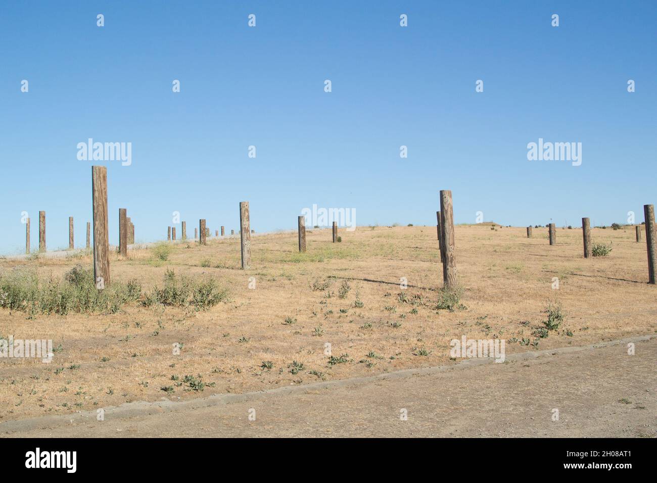 Polo campo - griglia di pali troncati di legno piantati in paesaggi ondulati a diverse profondità, le cime essendo a livello. Foto Stock