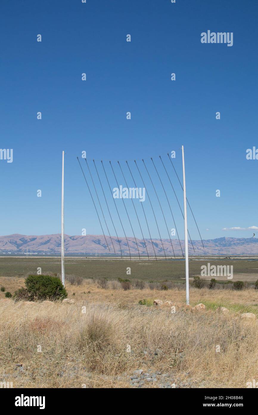 Wind Wave - arte ambientale nel parco di Palo Alto - funi verticali pendenti da corda sospesa tra due poli. Le corde si snodano nel vento Foto Stock