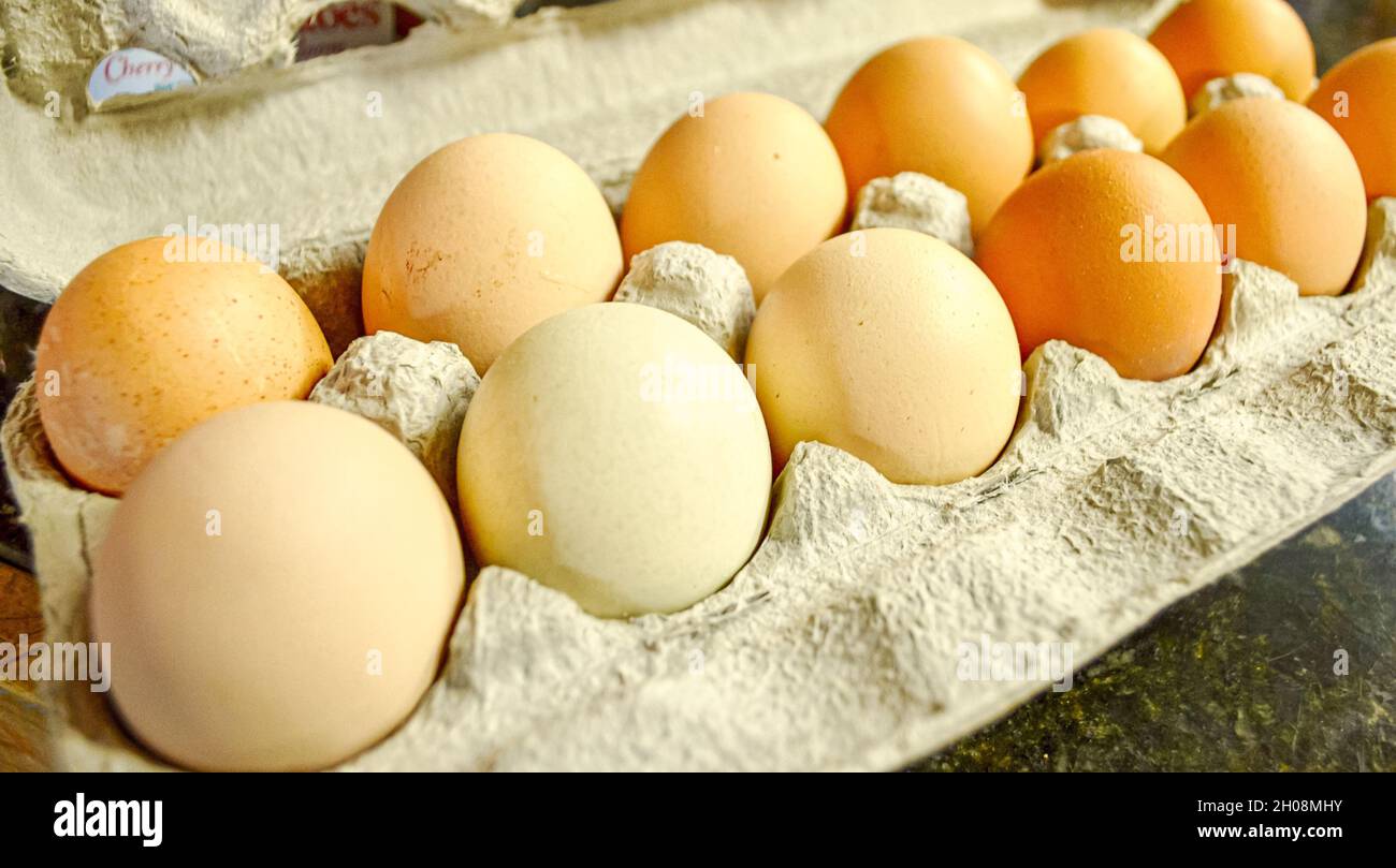 Primo piano di cartone di uova fresche di fattoria in colori di bianco, marrone, e marrone Foto Stock