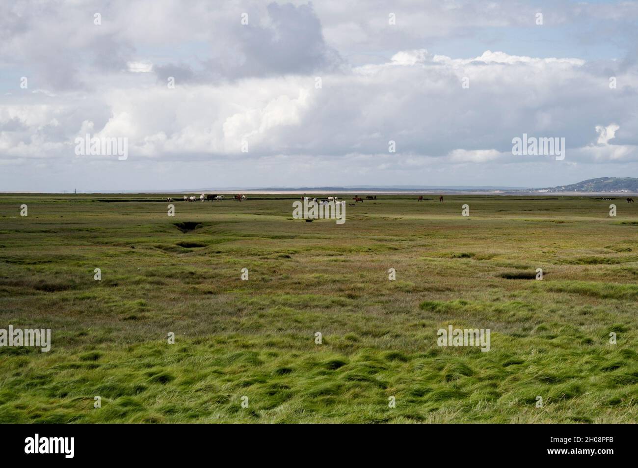 L'estuario del Loughor e la penisola di North Gower da Penclawydd, Galles, Regno Unito, habitat naturale naturale del paesaggio costiero gallese di paludi salate Foto Stock