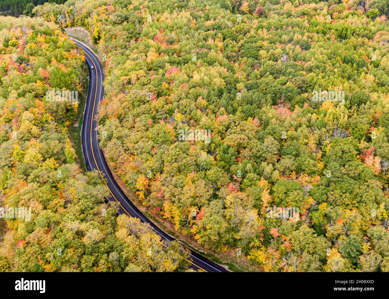 Vista aerea di una strada lastricata che si snoda attraverso la foresta durante la stagione autunnale Foto Stock
