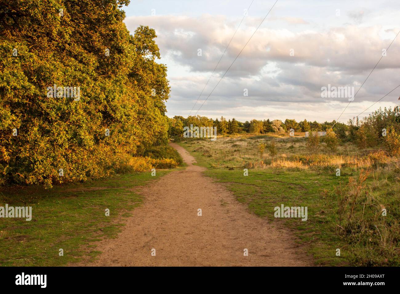 Un percorso a Sandy, Bedfordshire, Regno Unito Foto Stock