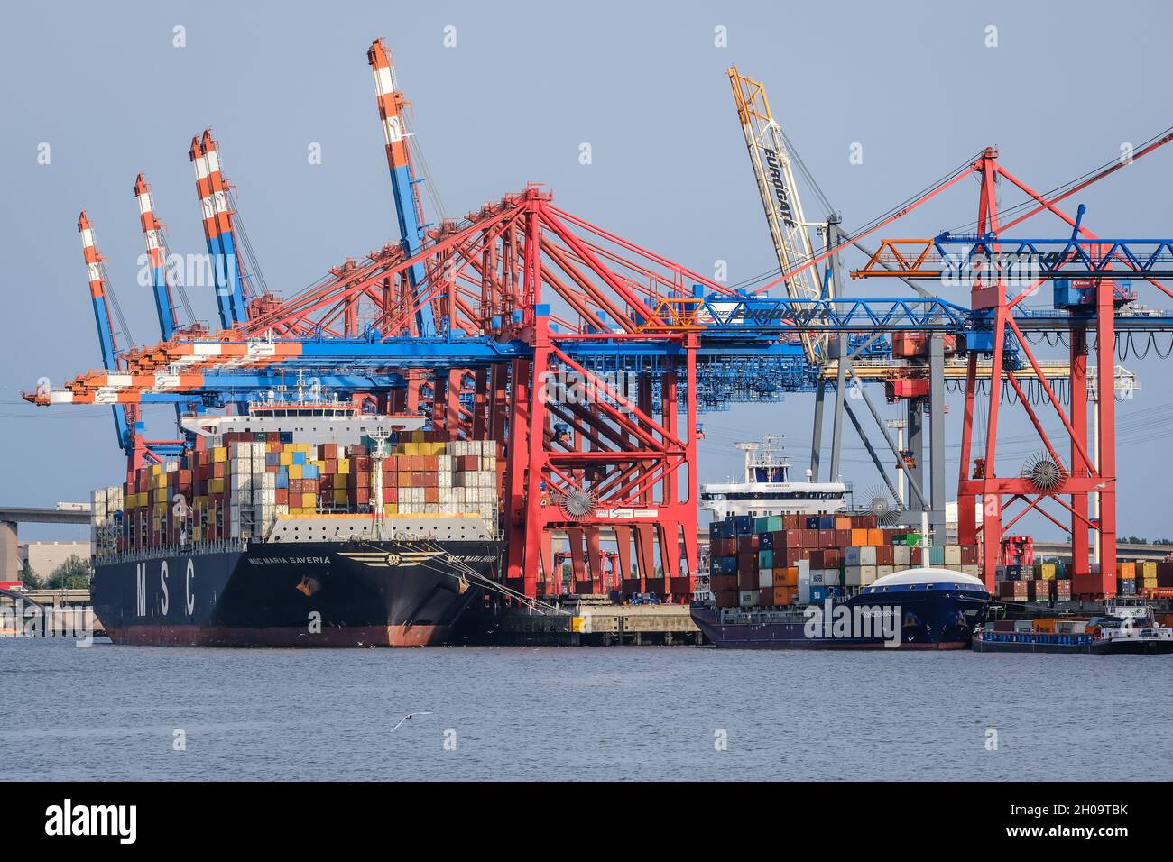 «24.06.2021, Germania, Amburgo, Amburgo - navi container nel porto di Amburgo, nave container MSC Maria Saveria della compagnia di navigazione MSC è moore Foto Stock