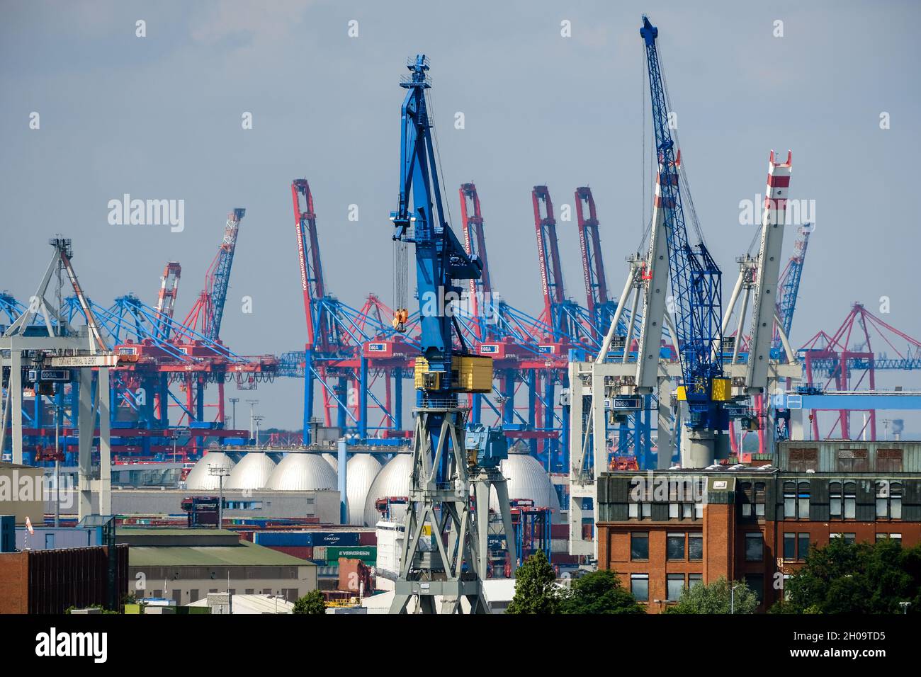 '25.06.2021, Germania, Amburgo, Amburgo - Vista della città Porto di Amburgo, gru portuali presso il terminal dei container Burchardkai. 00X210625D552CAROEX.JPG [REL. MODELLO Foto Stock