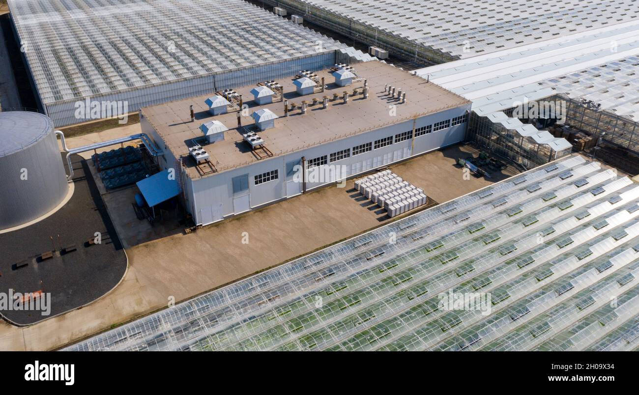 Serre agricole industriali per la coltivazione di ortaggi. Vista aerea Foto Stock