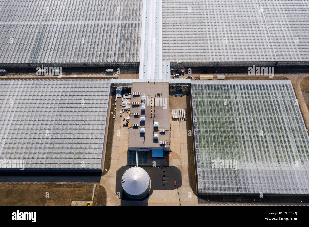 Serre agricole industriali per la coltivazione di ortaggi. Vista aerea Foto Stock