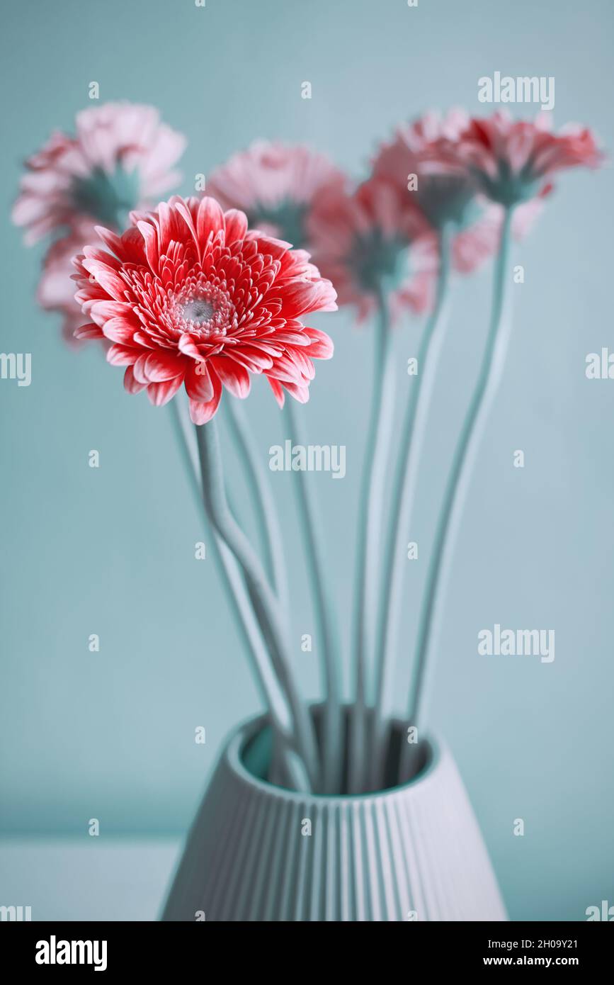 Primo piano di fiori rossi delicati nel vaso sul tavolo Foto Stock