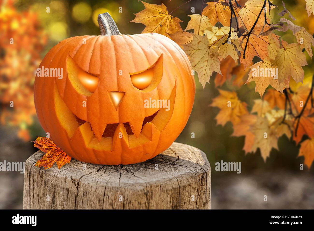 Zucche di Halloween su un ceppo di albero. Halloween design con zucche nella foresta autunno. Foto Stock