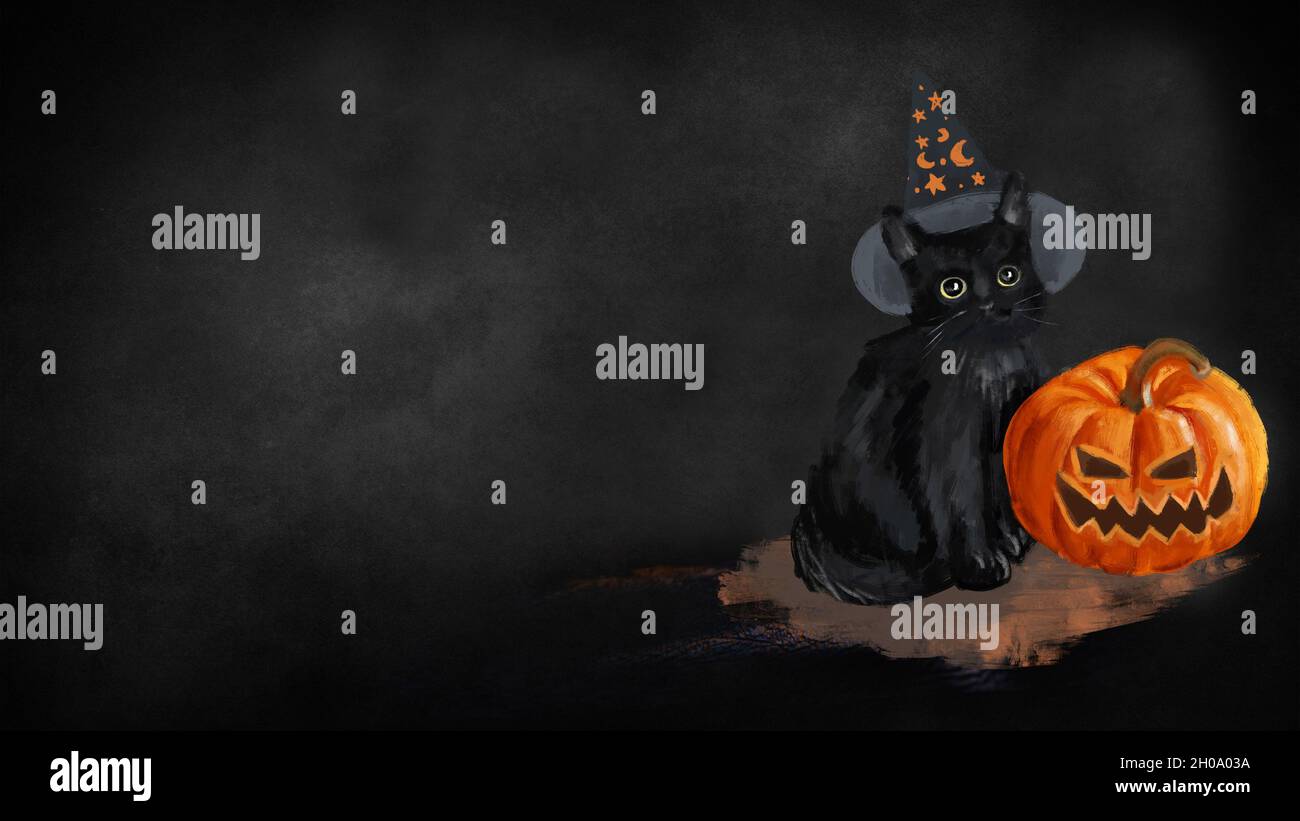 Sfondo di Halloween. Gatto nero in cappello magico con zucca di Halloween Foto Stock