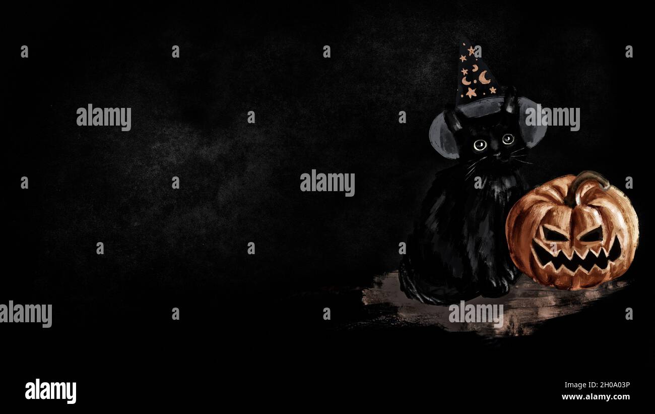 Sfondo di Halloween. Gatto nero in cappello magico con zucca di Halloween Foto Stock