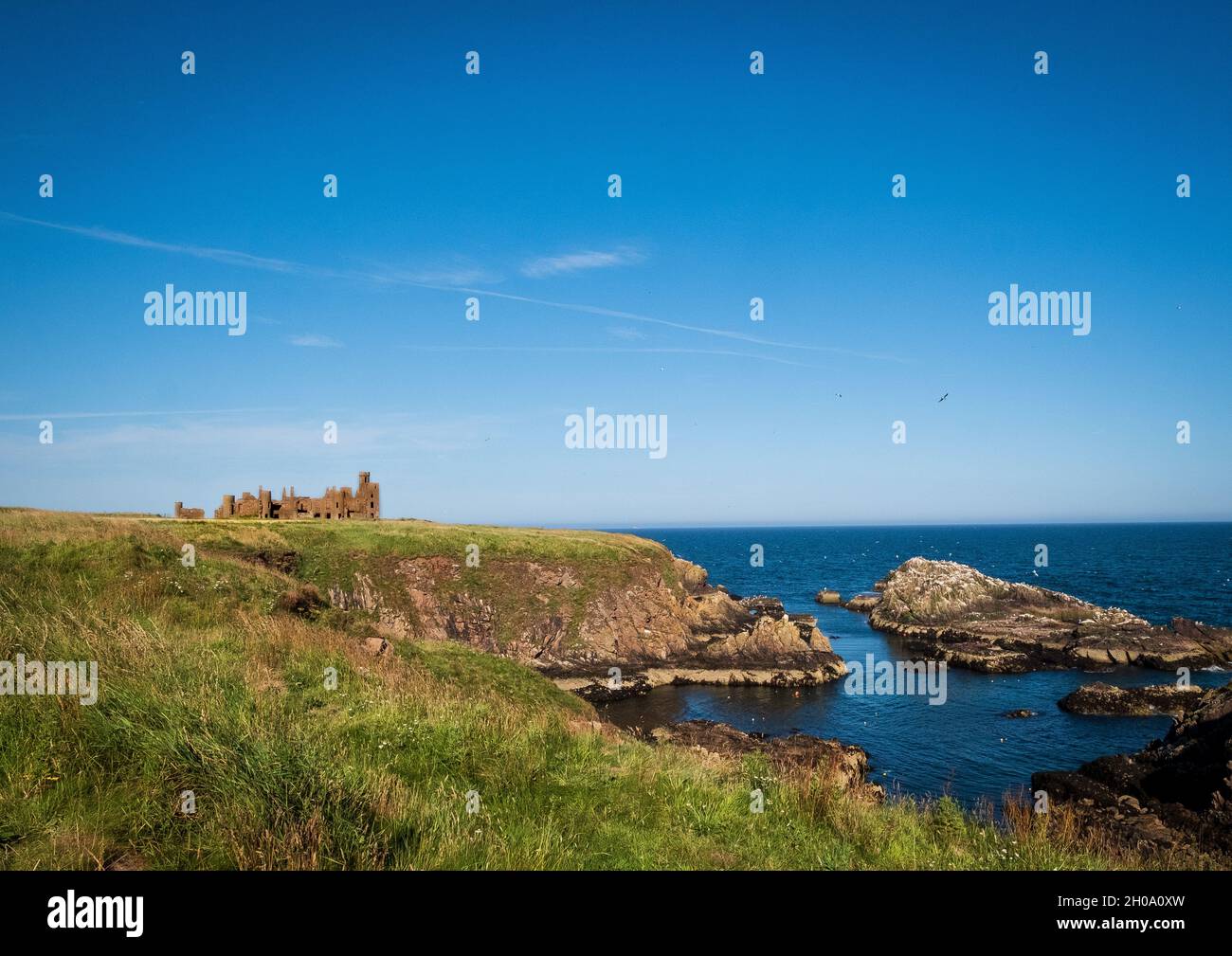 Le rovine della scogliera del 16 ° secolo Slains Castle, sulla costa aspra Aberdeenshire vicino a Cruden Bay, Scozia Foto Stock