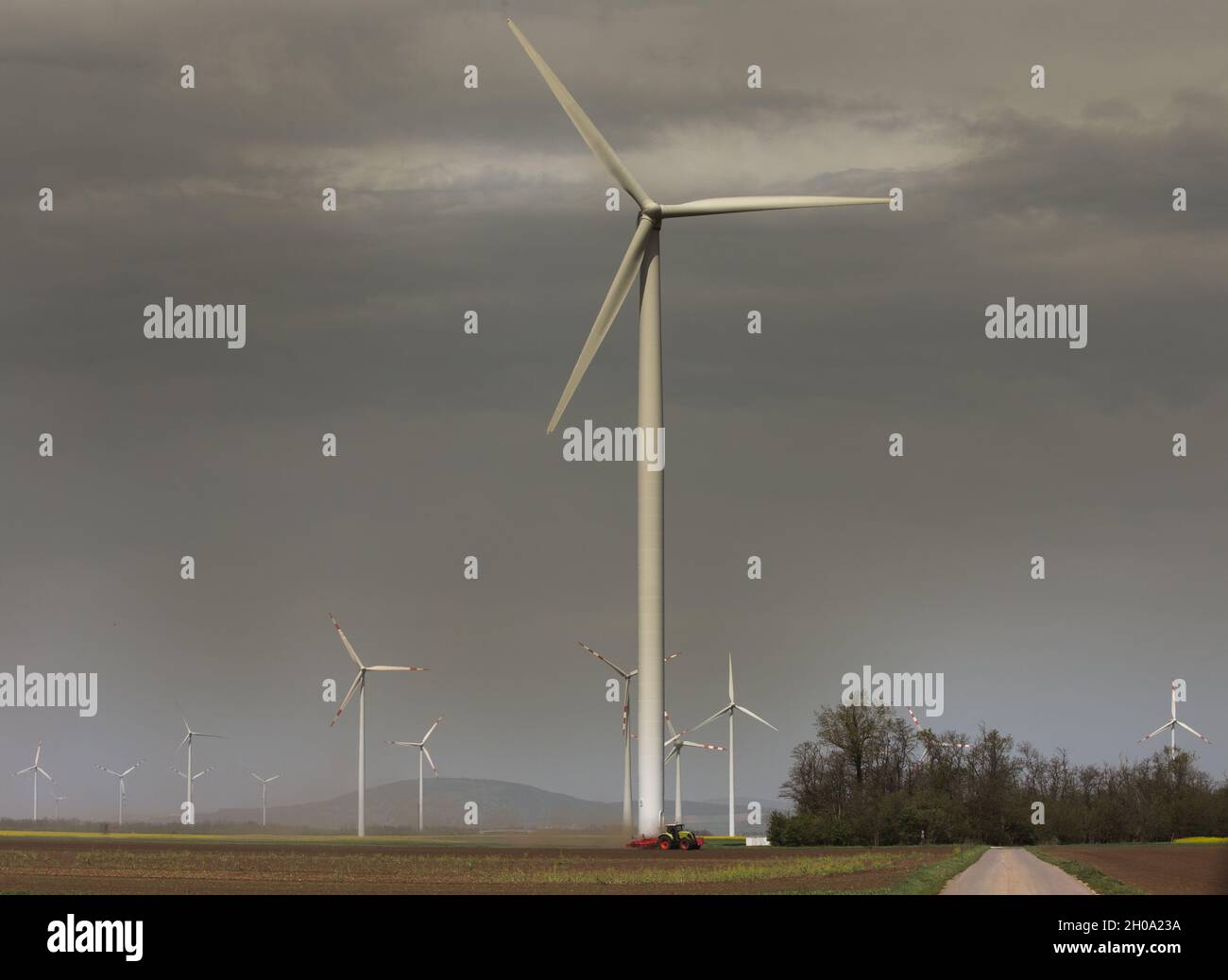 Turbina eolica fattoria in campo in primavera. Concetto di fonti di energia rinnovabili Foto Stock