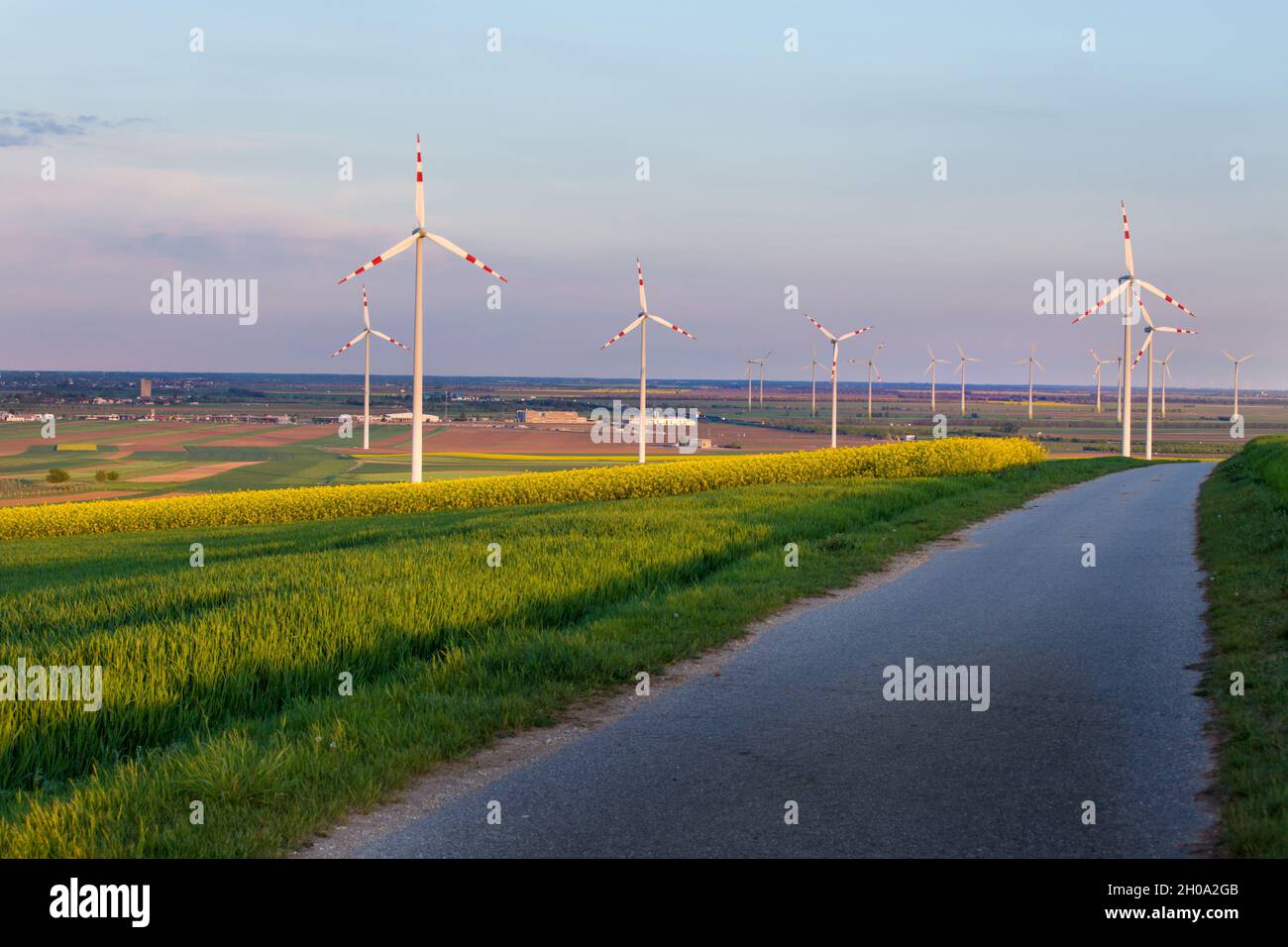 Fattoria di turbine eoliche in campi di colza gialla in primavera. Concetto di fonti di energia rinnovabili Foto Stock