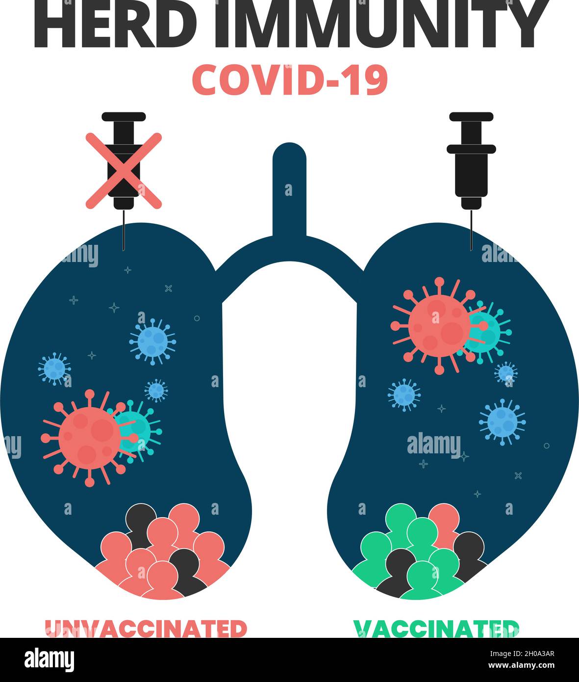 Infografica astratta. Siringa, gruppo di persone vaccinate, non vaccinate in polmone e immunità di branco testo COVID-19. Immunità di branco o persone sono infettate Illustrazione Vettoriale