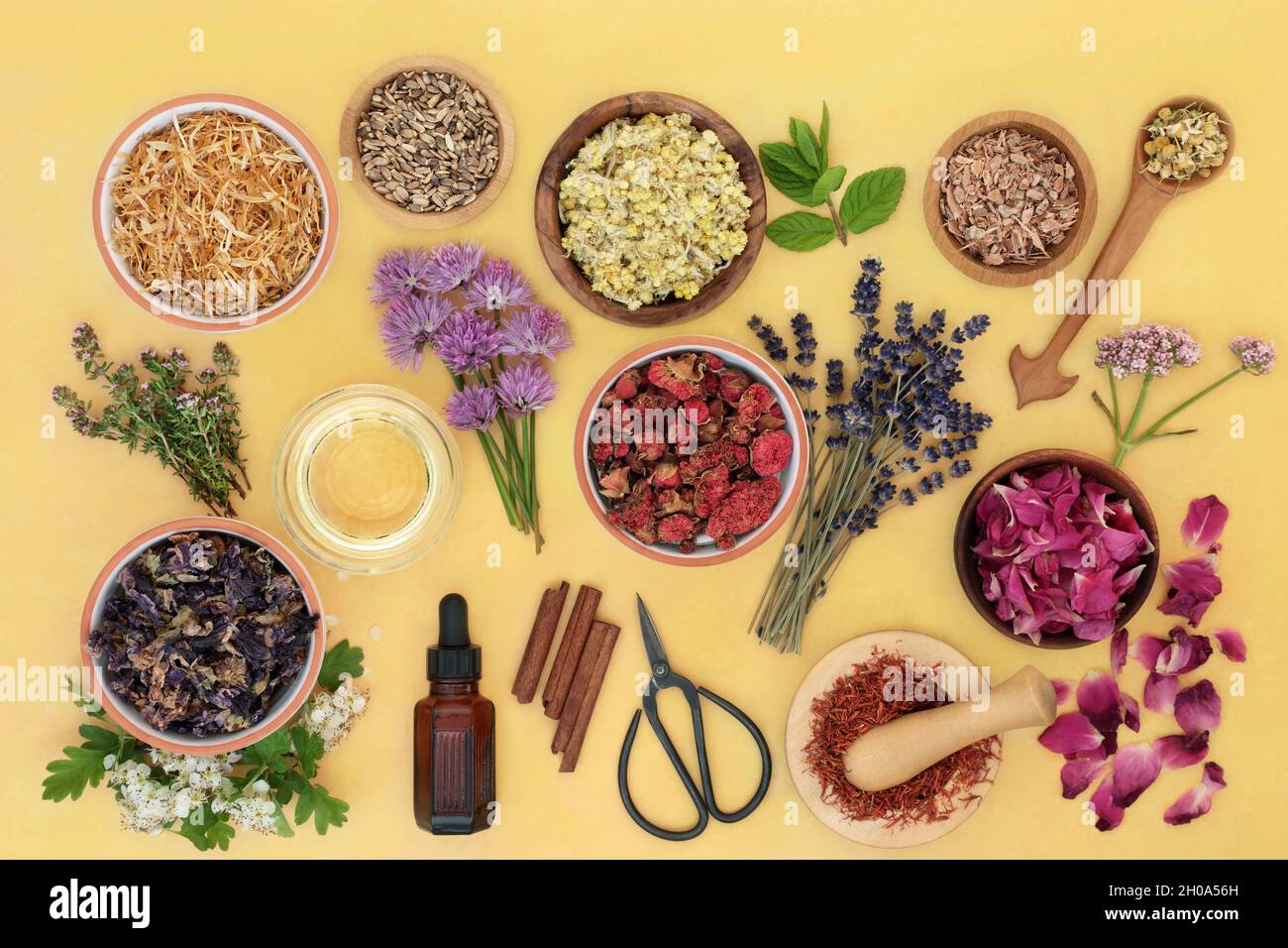 Olio essenziale aromaterapia preparazione con erbe e fiori utilizzati in medicina a base di erbe in un mortaio. Concetto di assistenza sanitaria naturale. Vista dall'alto, piatto . Foto Stock