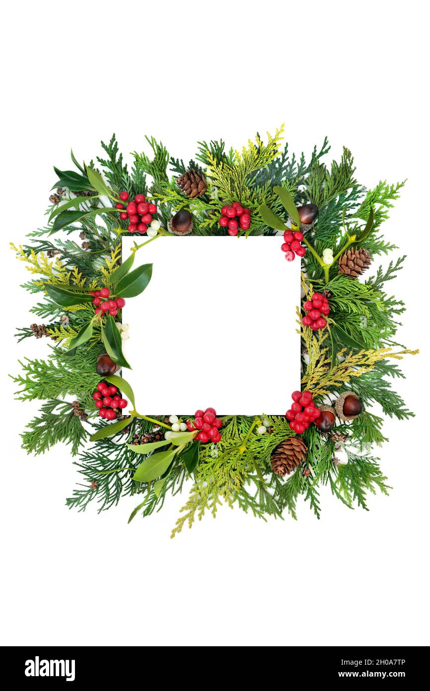 Natura tradizionale inverno solstizio Natale, sfondo Capodanno cornice quadrato composizione su bianco con pezzettino e verde. Foto Stock