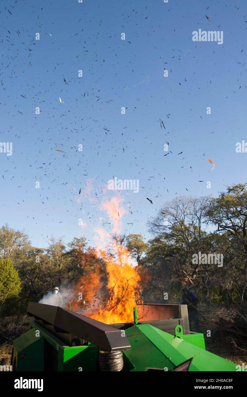 Gli equipaggi di lavoro sono composti da membri dell'802° Ingegnere civile Squadron, Joint base San Antonio Natural Resources Office, Texas A&M Natural Resources Institute e il modulo di supporto JBSA Wildland hanno bruciato pezzi di bambù dorato e pacciame di cedro in un inceneritore a cortina d'aria 7 gennaio 2021 a JBSA-Camp Bullis, Texas. L'inceneritore è progettato per bruciare i detriti di sbarramento in cui le particelle di fumo vengono intrappolate e bruciate, riducendo le particelle di fumo a un limite accettabile consentito dalle linee guida dell'Agenzia per la protezione ambientale. Foto Stock