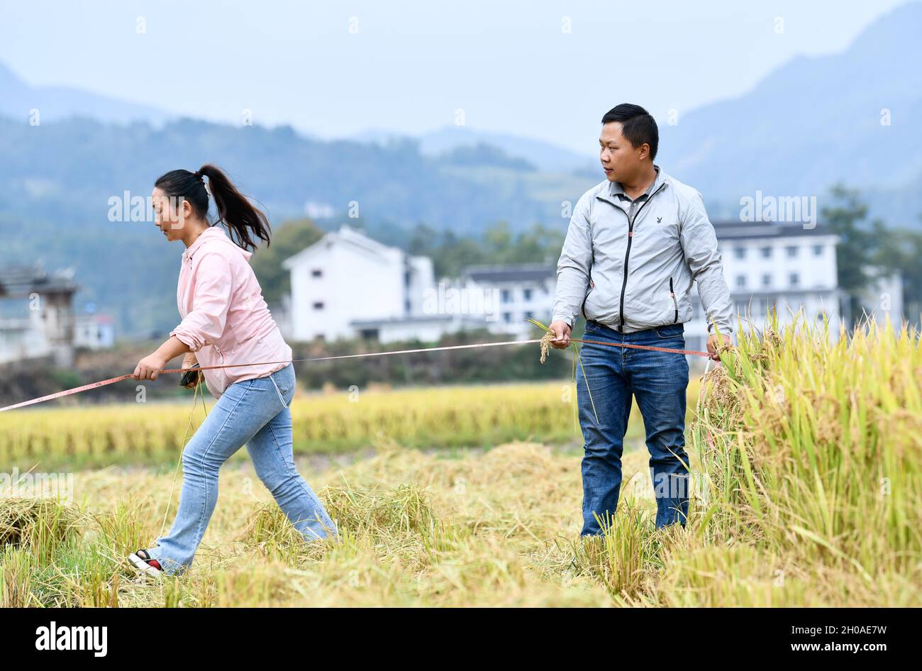 (211012) -- GUIYANG, 12 ottobre 2021 (Xinhua) -- Zhao Xiangrong e sua moglie misurano i campi di risaie nel villaggio di Leping della contea di Majiang, provincia sudoccidentale di Guizhou della Cina, 8 ottobre 2021. Zhao Xiangrong, un ex camionista e uno chef, tornò nella sua città natale a Guizhou e iniziò a piantare riso nel 2015. Supportato e guidato da enti locali ed esperti, Zhao ha sviluppato competenze nella coltivazione del riso contenente zinco, selenio e altri microelementi. Dopo sei anni di duro lavoro, Zhao ha accumulato una ricca esperienza nella semina delle sementi, nella gestione del campo, nonché nella lavorazione, nel trasporto e nella stor Foto Stock