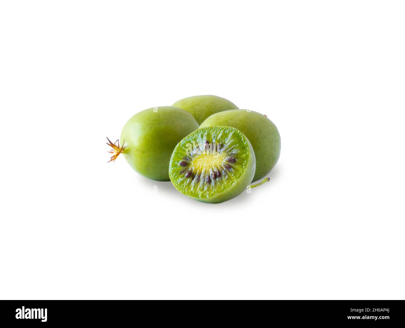 Actinidia verde isolato su sfondo bianco. Actinidia con spazio di copia per il testo. Kiwi actinidia di frutta. Frutta di kiwi del bambino su sfondo bianco. Foto Stock