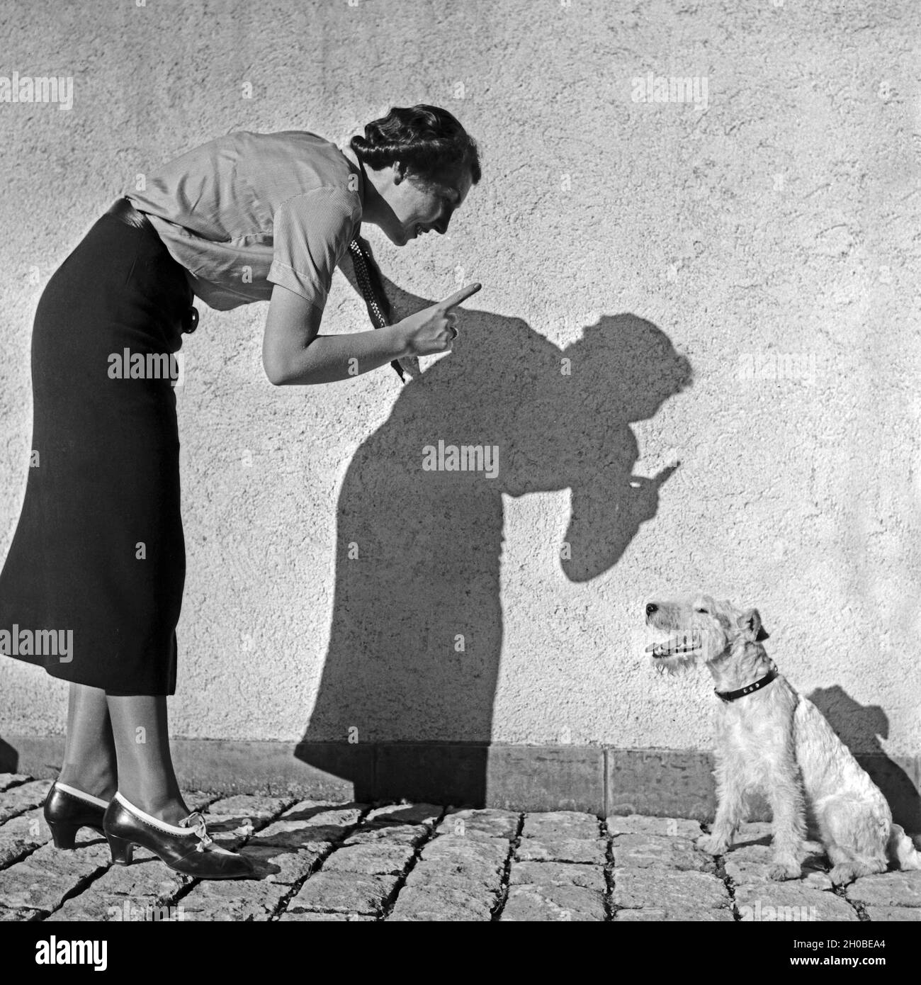 Eine junge Frau bringt ihren Foxterrier Gehorsam bei, Deutschland 1930er Jahre. Una giovane donna di insegnare il suo fox terrier pup, Germania 1930s. Foto Stock