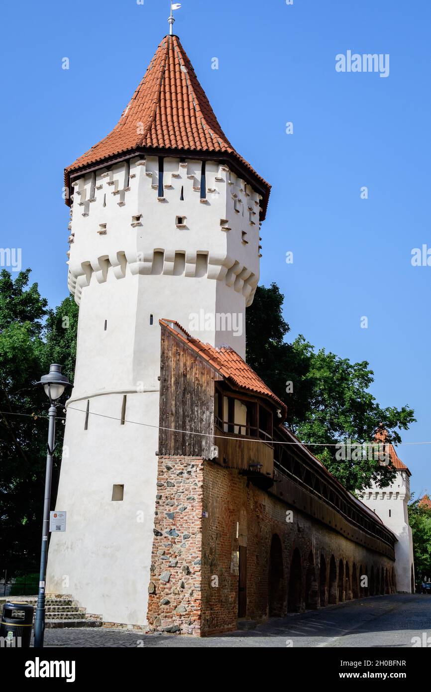 Grande torre in pietra dipinta di bianco nel centro storico della città di Sibiu, vicino a Citadel Street e Park (strada si Parcul Cetatii), in Transilvan Foto Stock