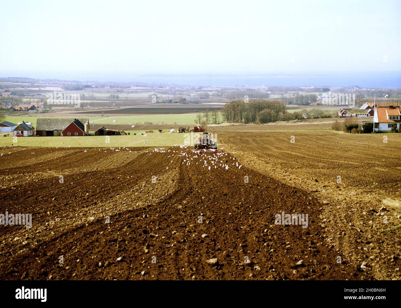 FATTORIA DI PRIMAVERA sulla penisola di BjŠre a SkŒne erpicando con trattore Foto Stock