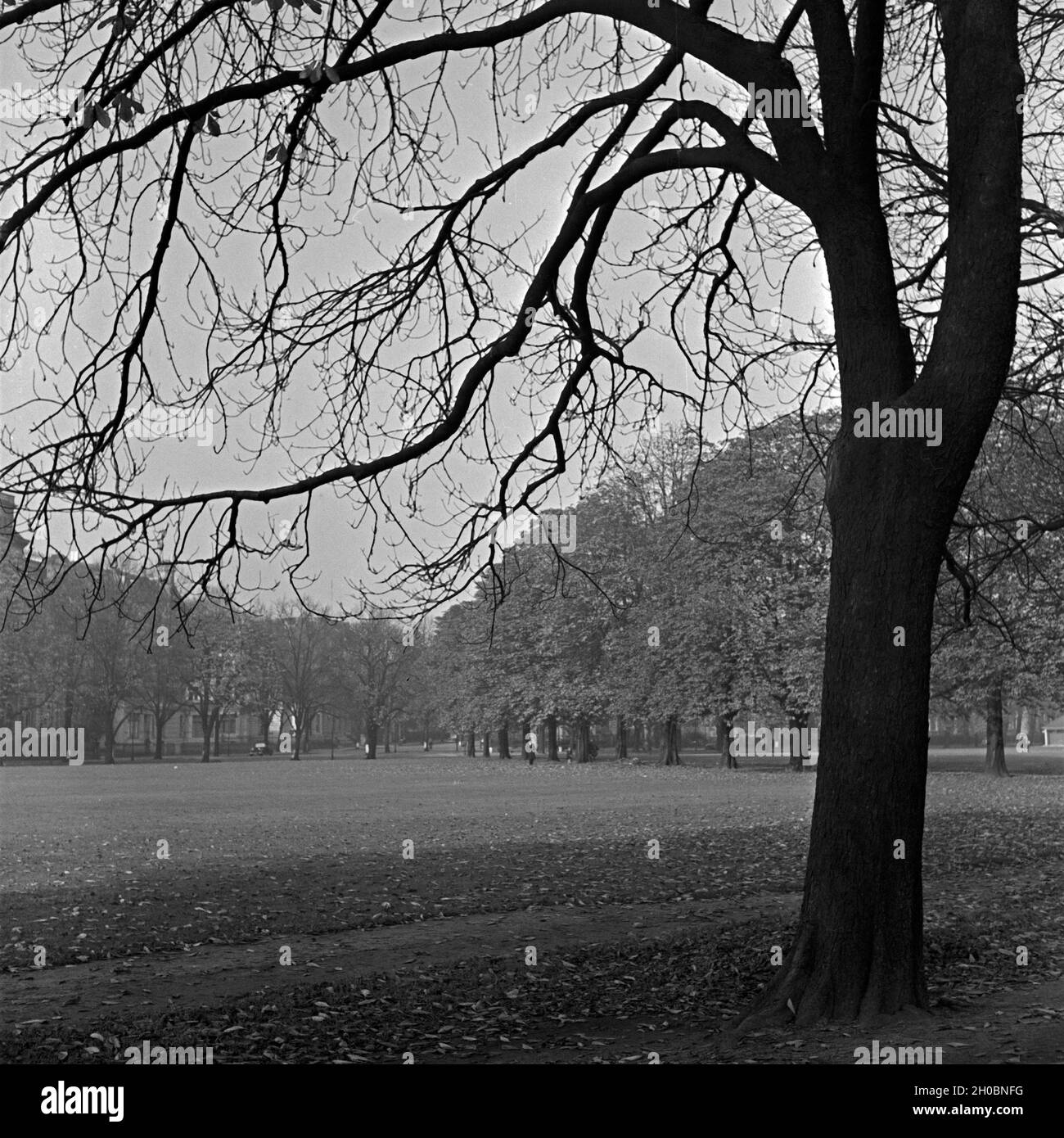 Impressione Herbstliche aus einem Grüngürtel in einer deutschen Stadt, Deutschland 1930er Jahre. Autunno impressione di uno spazio verde urbano in una città tedesca, Germania 1930s. Foto Stock