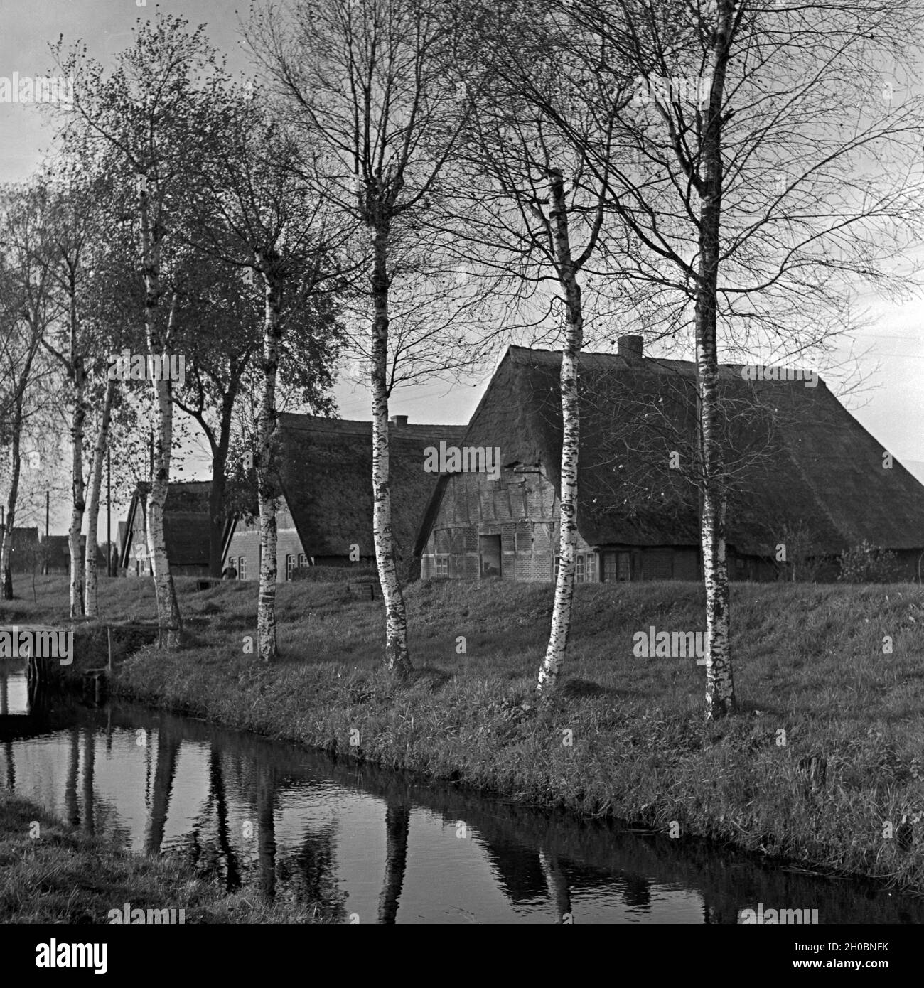 Strohgedeckte Häuser in der Elbmarsch, Deutschland 1930er Jahre. Case in paglia al bogland del fiume Elba, Germania 1930s. Foto Stock