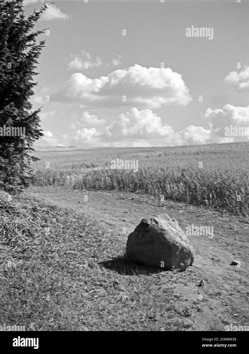 Ein Feldweg un einem Kornfeld, Ostpreußen, 1930er Jahre. Un viottolo di campagna e un cornfield, Prussia orientale, 1930s. Foto Stock