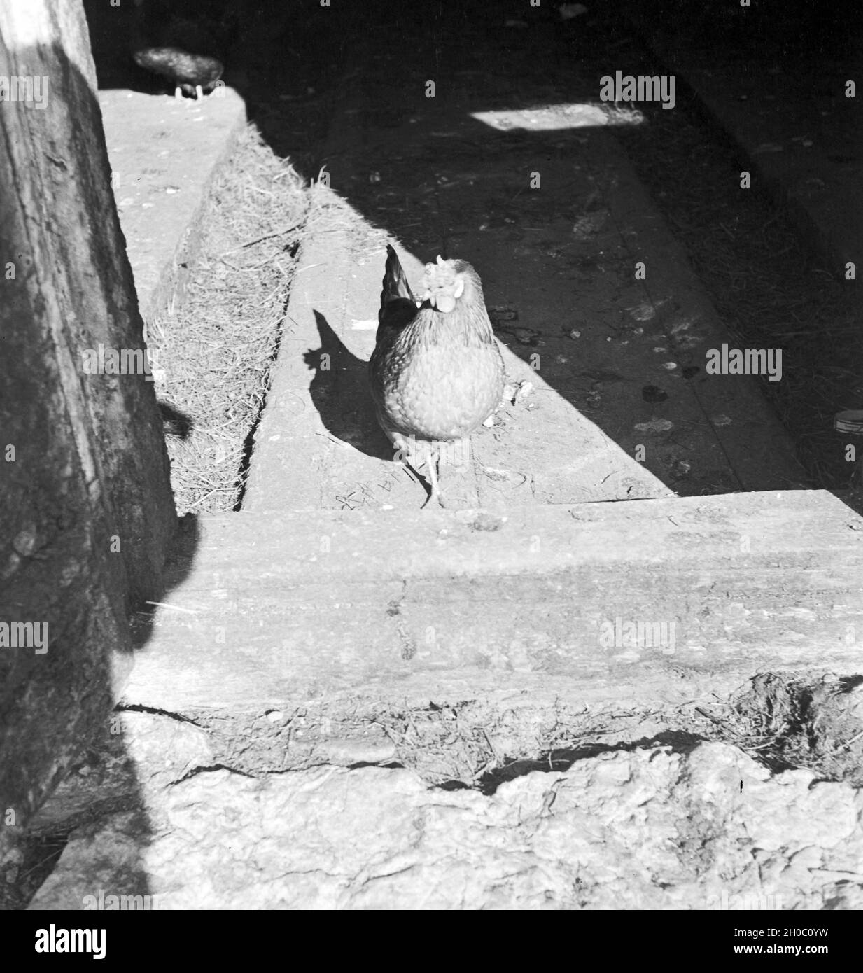 Ein Ausflug in ein Skigebiet in Bayern, Deutsches Reich 1930er Jahre. Un viaggio in una regione di sci in Baviera, Germania 1930s. Foto Stock