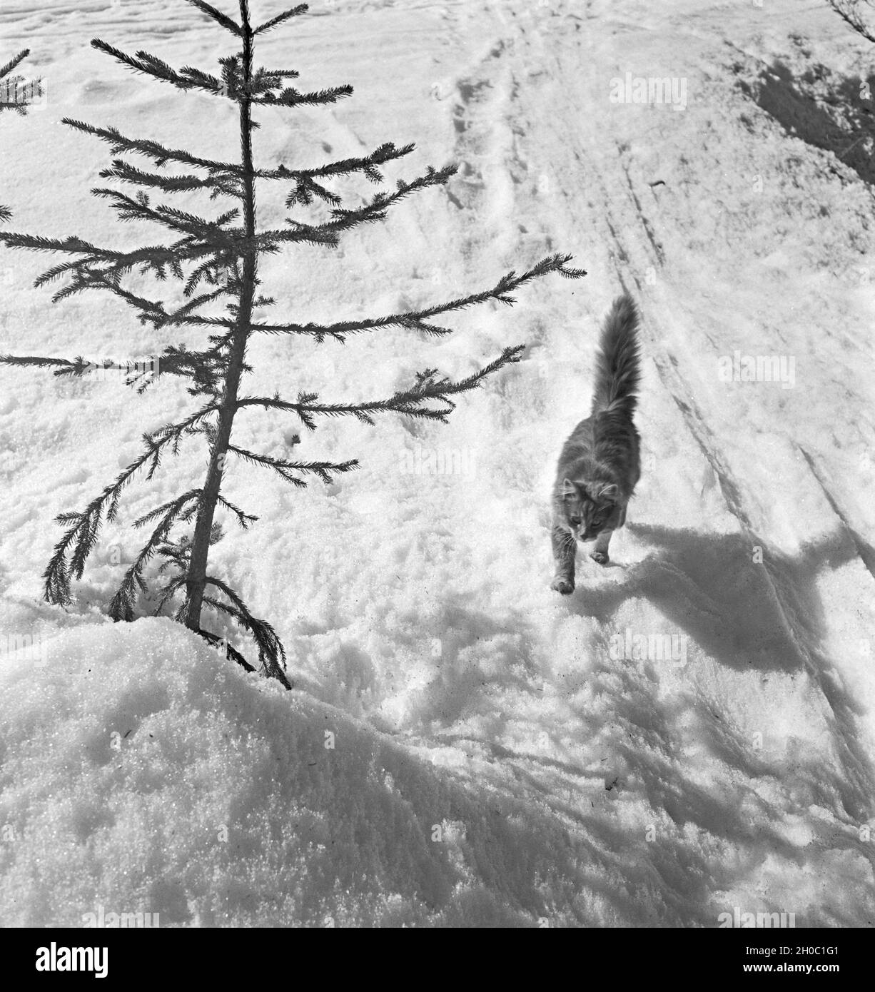 Ein Ausflug in ein Skigebiet in Bayern, Deutsches Reich 1930er Jahre. Un viaggio in una regione di sci in Baviera, Germania 1930s. Foto Stock