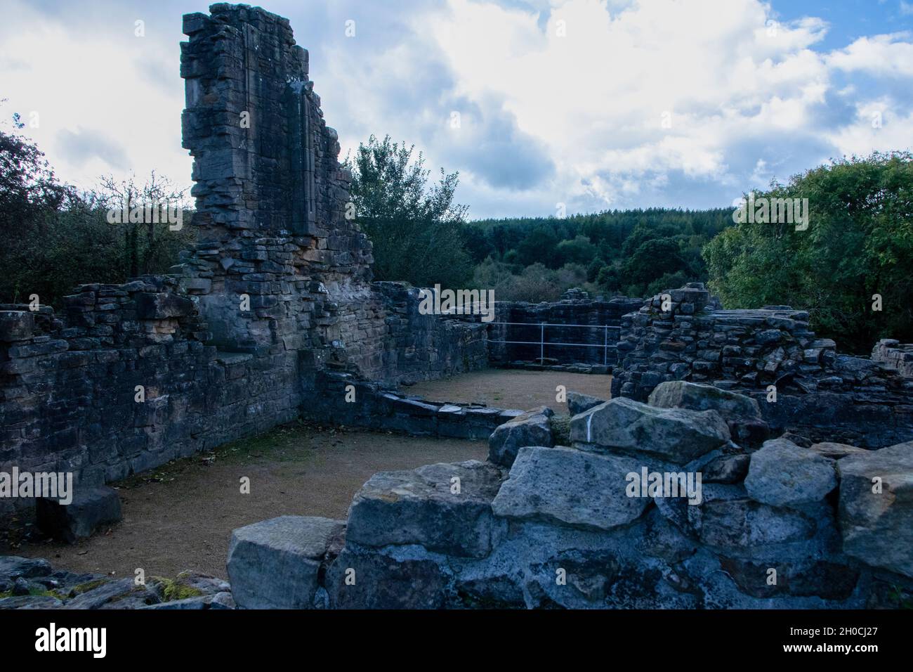Beaurepaire Manor House rovine Foto Stock