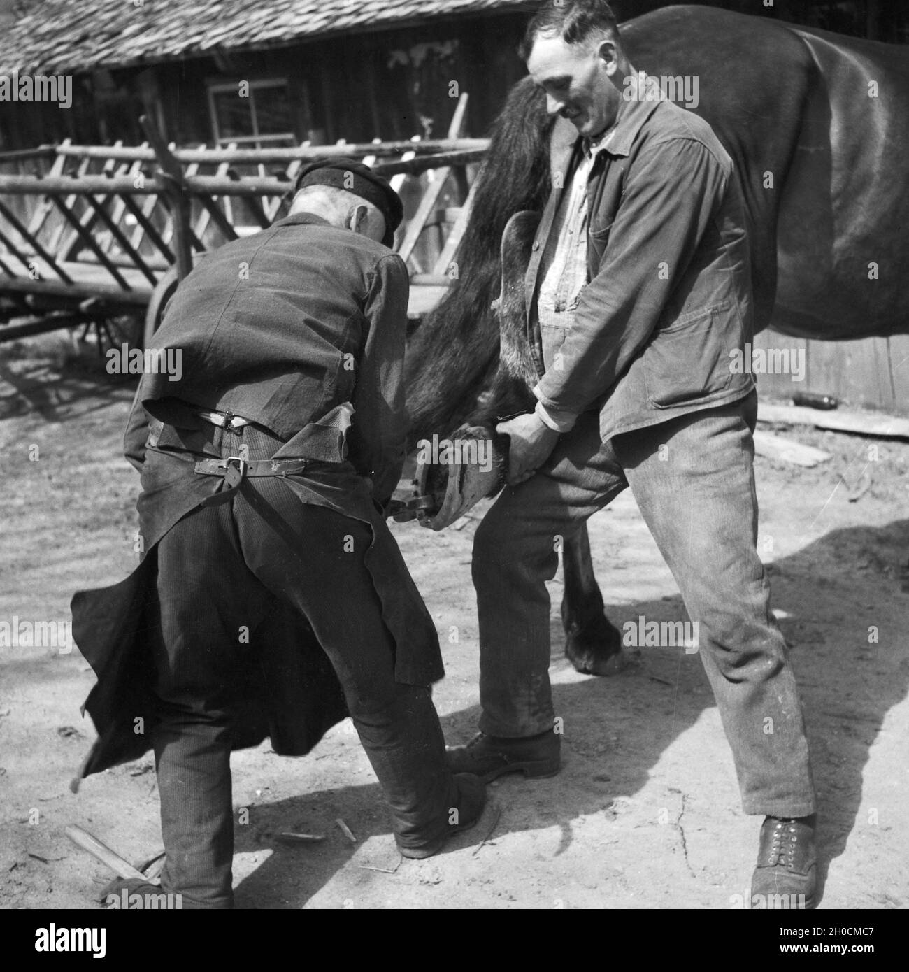 Ein Hufschmied bestückt ein Pferd mit neuen Hufeisen, Deutschland 1930er Jahre. Un fabbro ponendo nuove cavalcate a cavallo, Germania 1930s. Foto Stock