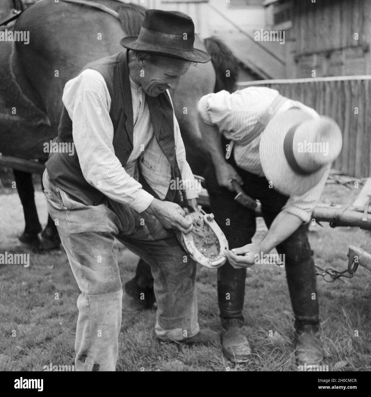 Ein Hufschmied bestückt ein Pferd mit neuen Hufeisen, Deutschland 1930er Jahre. Un fabbro ponendo nuove cavalcate a cavallo, Germania 1930s. Foto Stock