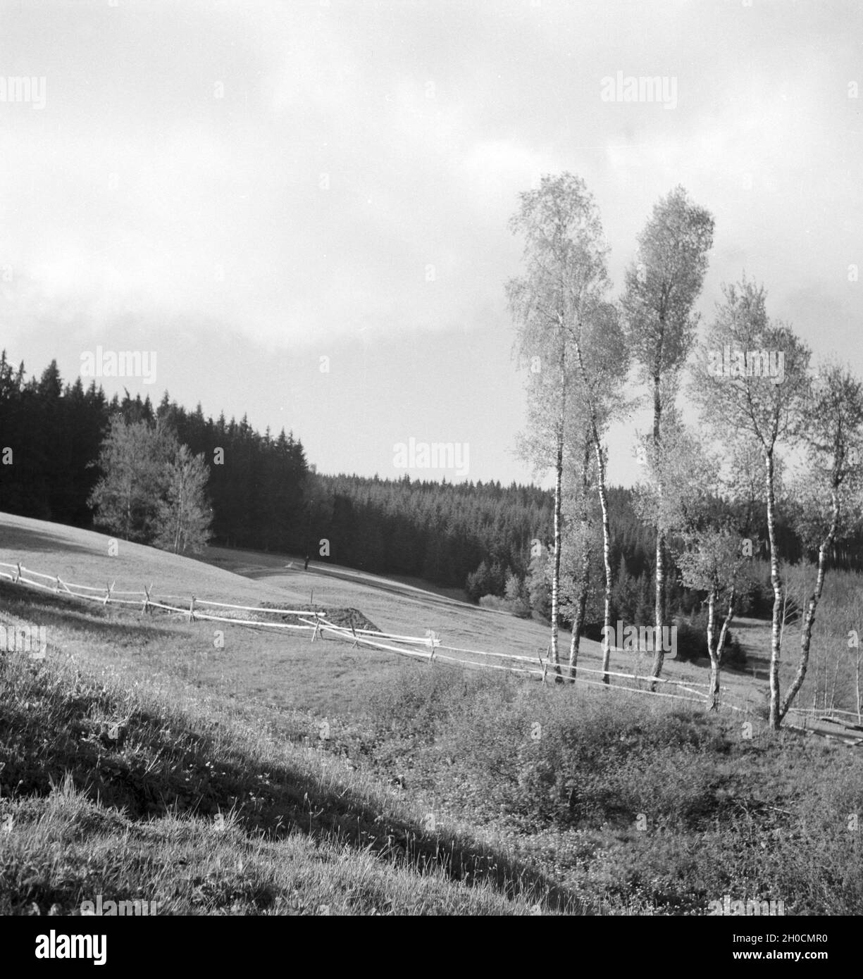 Ein Ausflug in den Südschwarzwald, Deutsches Reich 1930er Jahre. Un viaggio per la Foresta Nera meridionale, Germania 1930s. Foto Stock