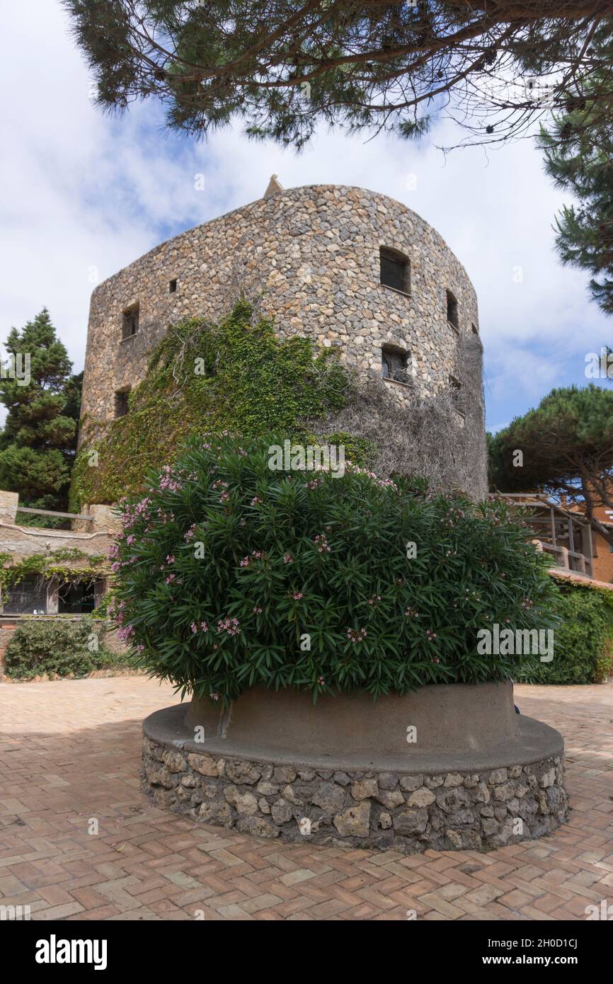 Arcipelago Toscano, Isola di Giannutri, Toscana, Italia, Europa Foto Stock