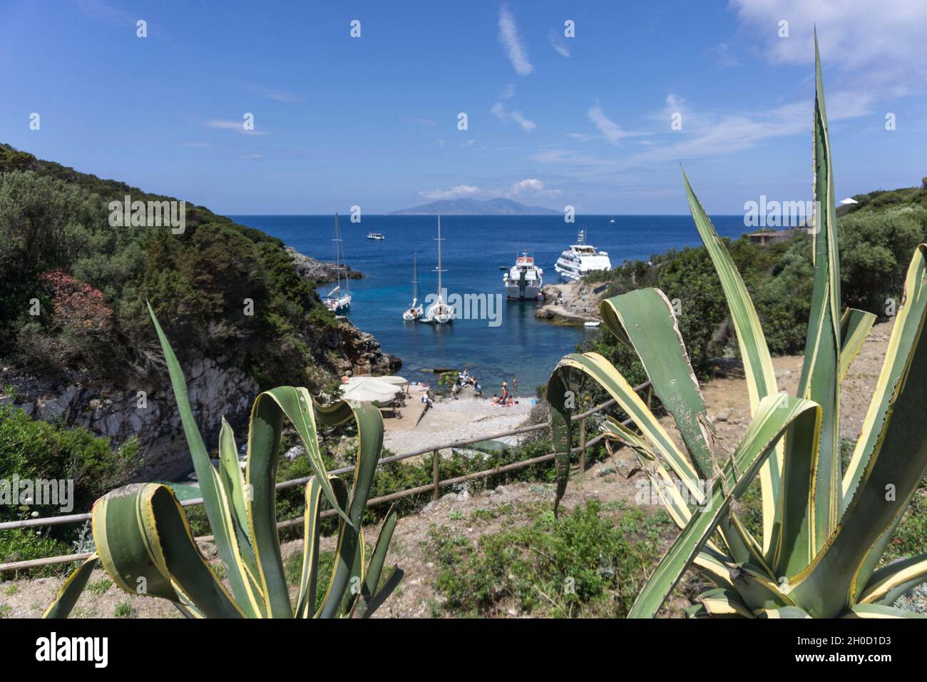Arcipelago toscano, Cala Maestra, Isola di Giannutri, Toscana, Italia, Europa Foto Stock
