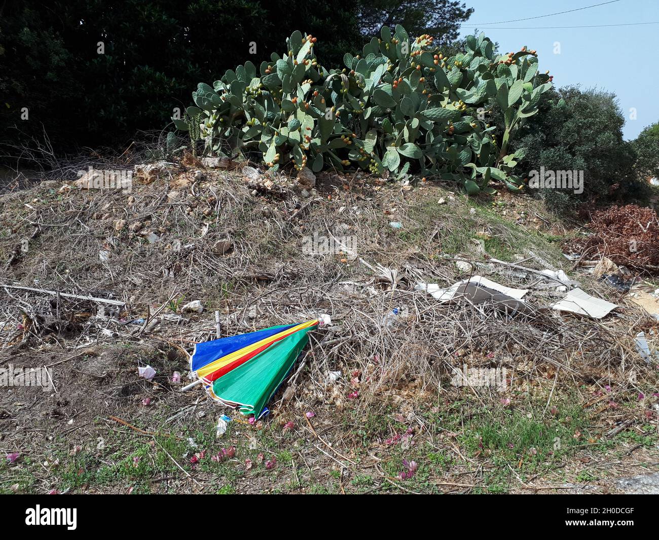 Spazzatura ai lati di una strada a Lido di noto Contrada, Sicilia, Italia. Foto Stock