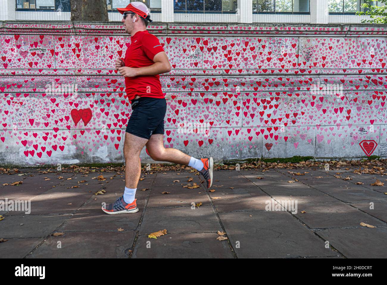 WESTMINSTER LONDRA, REGNO UNITO. 12 Ott 2021. Il muro commemorativo nazionale di Covid a Westminster decorato con cuori dipinti a mano dedicati alla memoria delle vittime della pandemia del coronavirus nel Regno Unito. Un rapporto pubblicato dal Comitato per la Salute e l'assistenza sociale e dal Comitato per la Scienza e la tecnologia ha rilevato che il governo britannico non ha fatto di più per fermare la diffusione di Covid nelle prime fasi della pandemia e il ritardo nell'introduzione del primo blocco che è costato migliaia di vite ed è stato uno di questi Il peggiore mai salute pubblica falls.Credit: amer Ghazzal / Alamy Live News Foto Stock