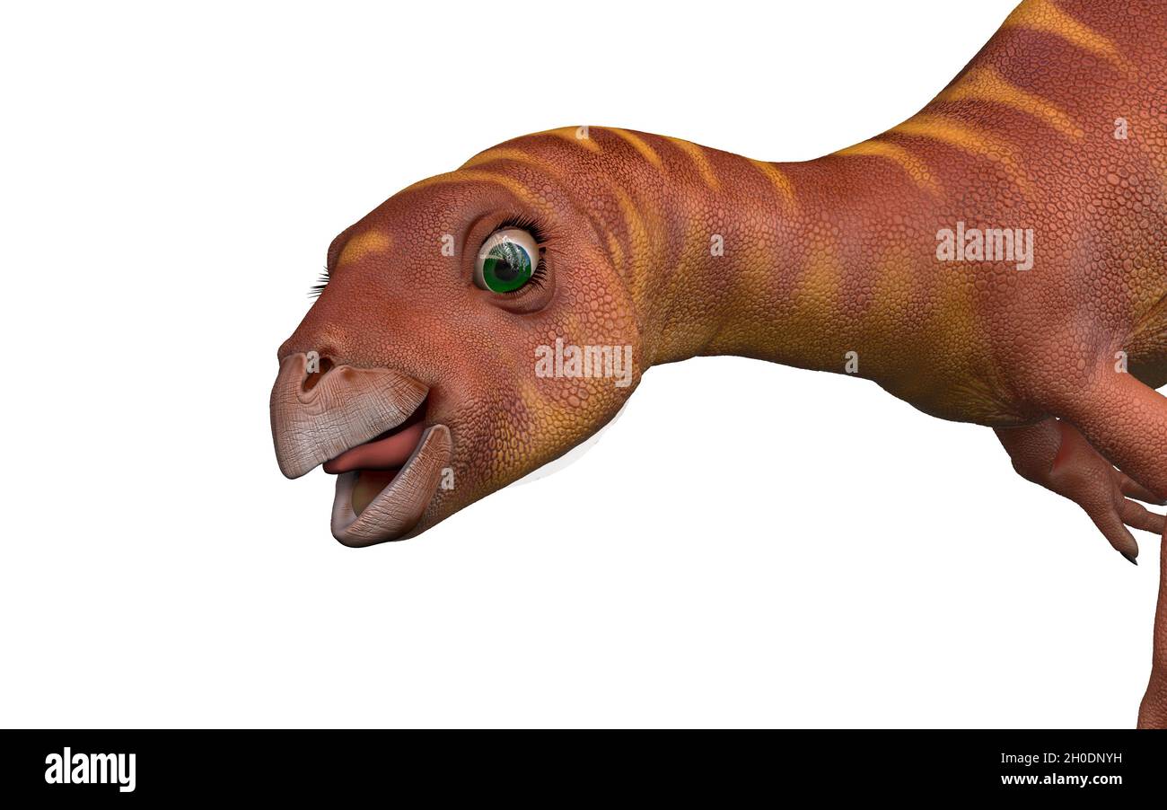 lleannynasaura Foto Stock