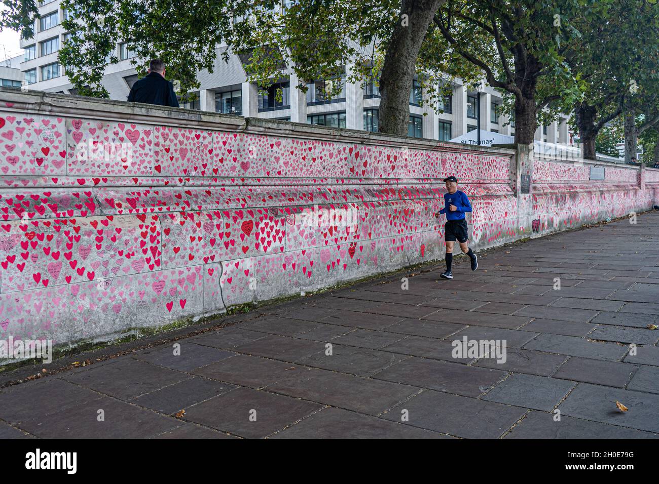 WESTMINSTER LONDRA, REGNO UNITO. 12 Ott 2021. Il muro commemorativo nazionale di Covid a Westminster decorato con cuori dipinti a mano dedicati alla memoria delle vittime della pandemia del coronavirus nel Regno Unito. Un rapporto pubblicato dal Comitato per la Salute e l'assistenza sociale e dal Comitato per la Scienza e la tecnologia ha rilevato che il governo britannico non ha fatto di più per fermare la diffusione di Covid nelle prime fasi della pandemia e il ritardo nell'introduzione del primo blocco che è costato migliaia di vite ed è stato uno di questi Il peggiore mai salute pubblica falls.Credit: amer Ghazzal / Alamy Live News Foto Stock