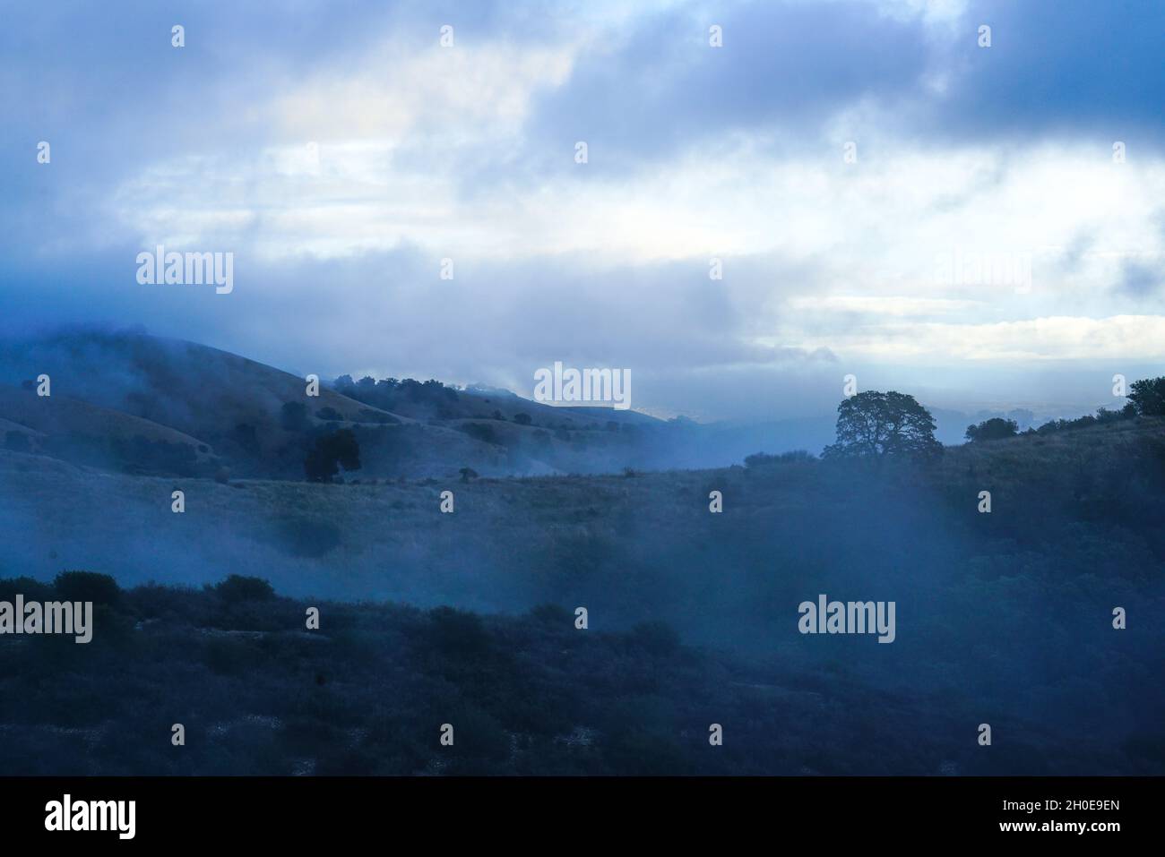 Colline foggy a Paso Robles, California Foto Stock