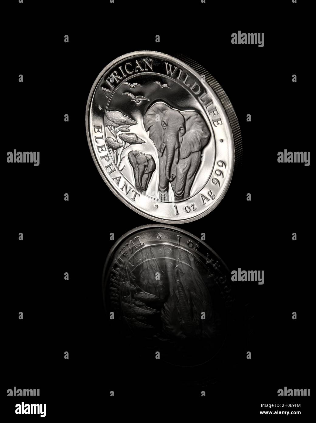 2015 Elephant somalo: Moneta d'argento puro da 1 oz .999, 100 Shillings, creata dalla Zecca di Stato bavarese per conto della Repubblica Somalia. Foto Stock