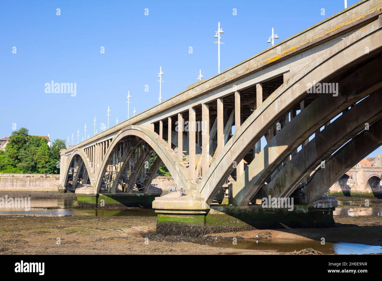 Ponte stradale in cemento o il Royal Tweed Bridge sul fiume Tweed a Berwick-upon-Tweed o Berwick-on-Tweed Northumberland Inghilterra GB UK Europe Foto Stock