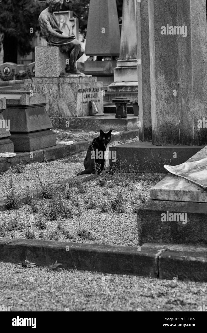 Cimitero monumentale di Milano, 01 ottobre 2016 Foto Stock