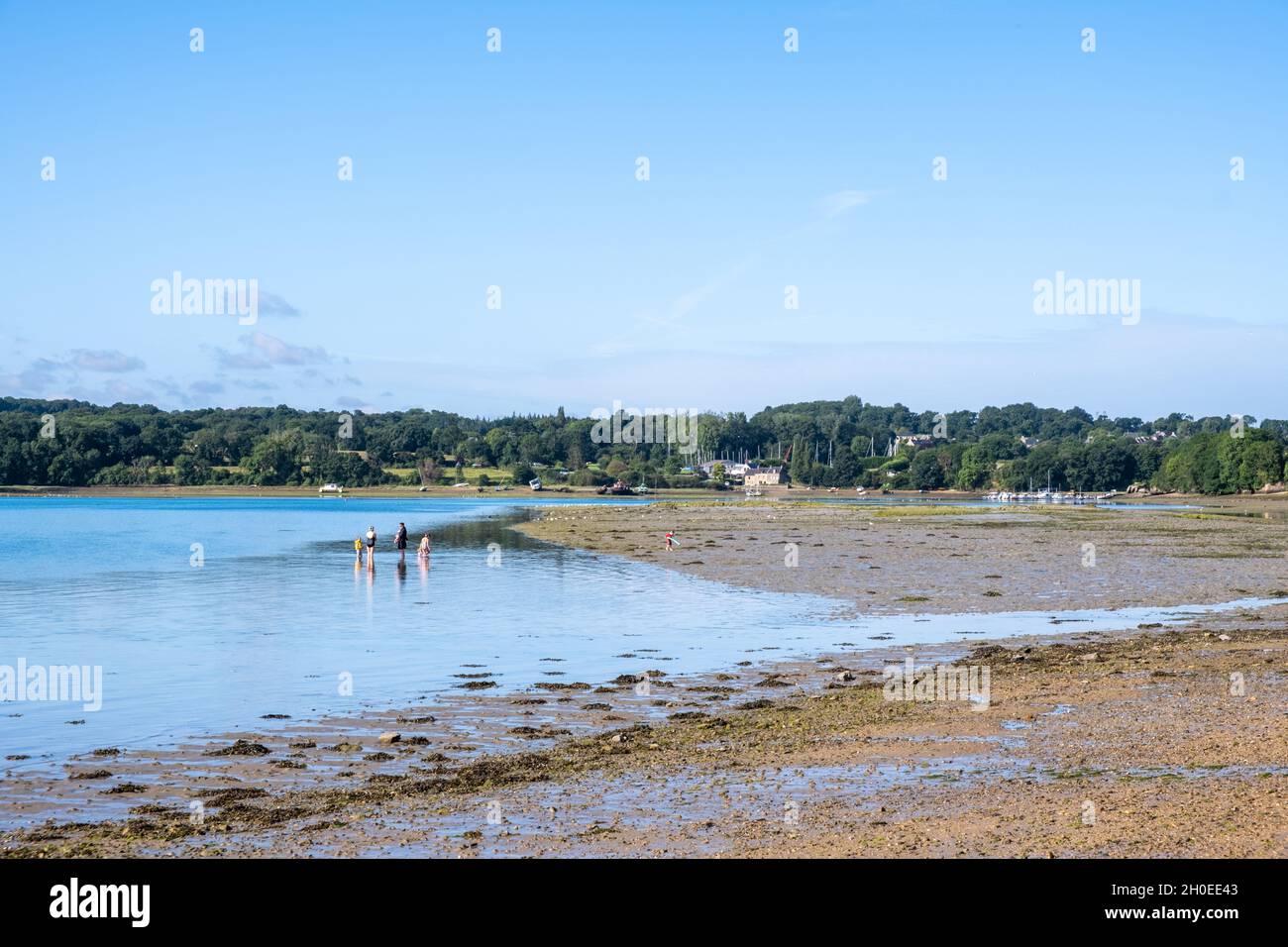 Le Minihic sur Rance (Bretagna, Francia nord-occidentale): Persone con i piedi in acqua a marea crescente sulla spiaggia di Minihic, presso il fiume Rance, Foto Stock