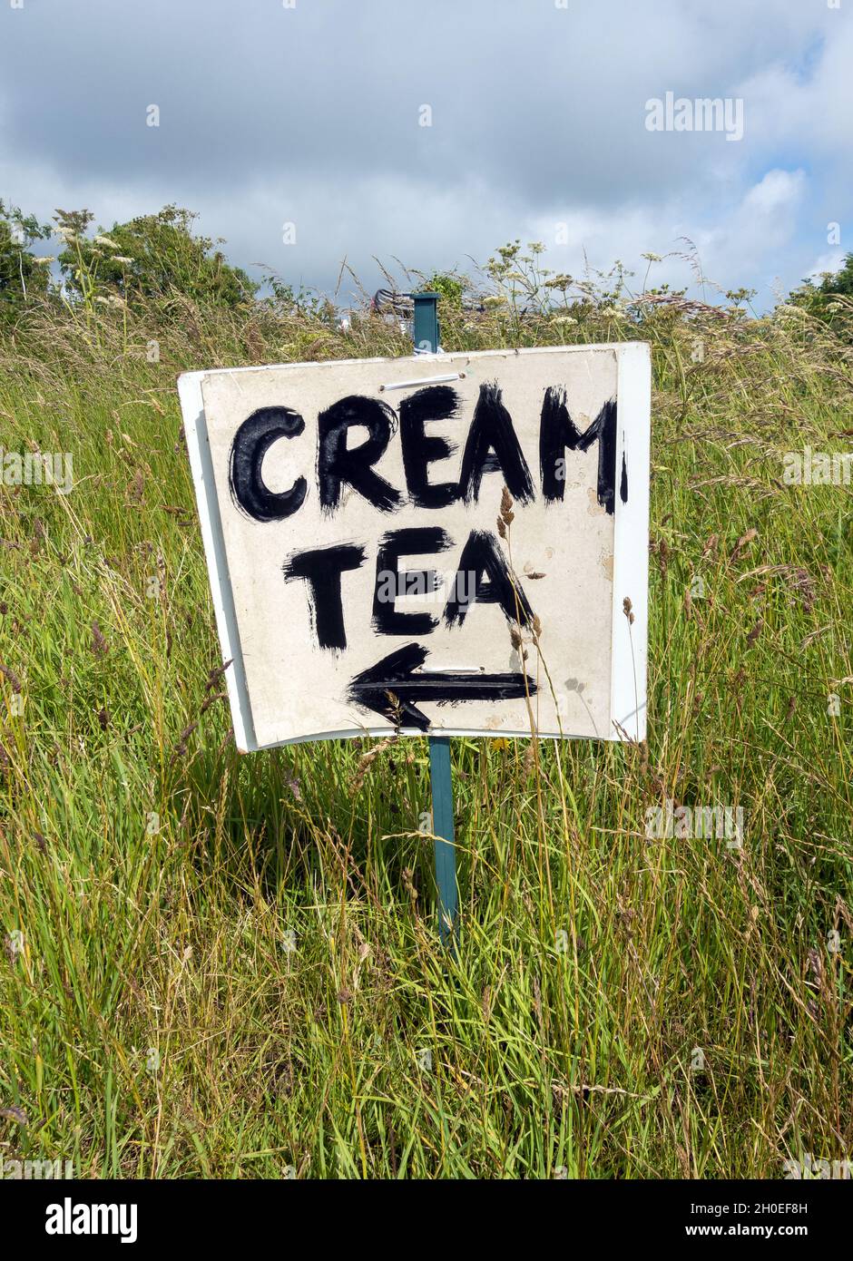 Insegna in crema di tè dipinta a Dorset, Inghilterra, Regno Unito Foto Stock