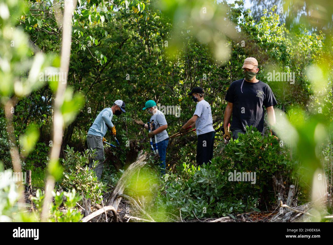 Un gruppo di volontari taglia un cespuglio di mangrovie durante l'evento volontario Weed Warriors, Marine Corps base Hawaii, 13 febbraio 2021. Il dipartimento ambientale di base ha tenuto l'evento nel tentativo di rimuovere le piante invasive non native che invadono la zona umida del porto di Sag, così come per pulire rifiuti e detriti. Foto Stock