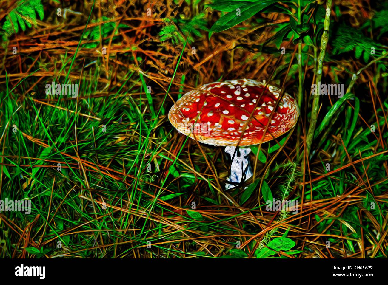 Grande fungo rosso in mezzo a un thicket in una foresta dal crinale di Mantiqueira, nella campagna brasiliana. Filtro di vernice ad olio. Foto Stock